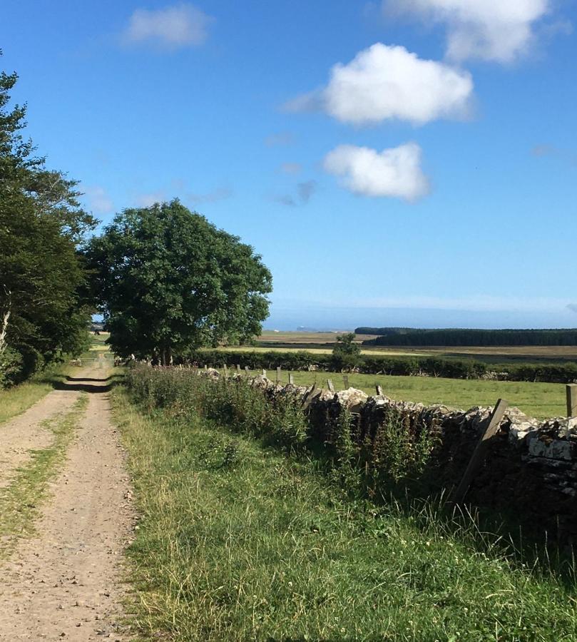 Caithness View Luxury Farm Lodges And Bbq Huts Wick  Exteriér fotografie
