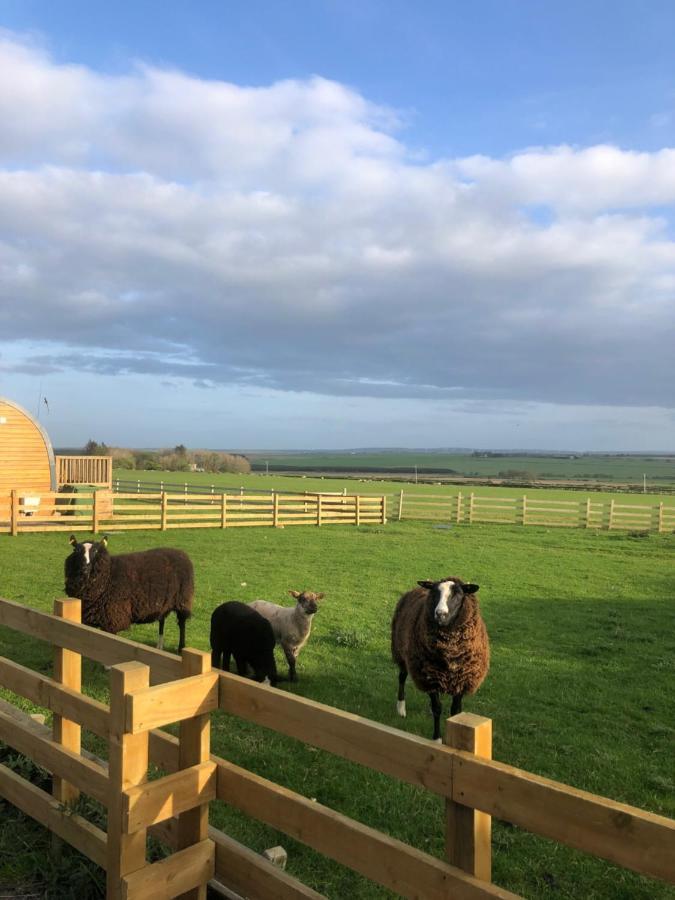 Caithness View Luxury Farm Lodges And Bbq Huts Wick  Exteriér fotografie