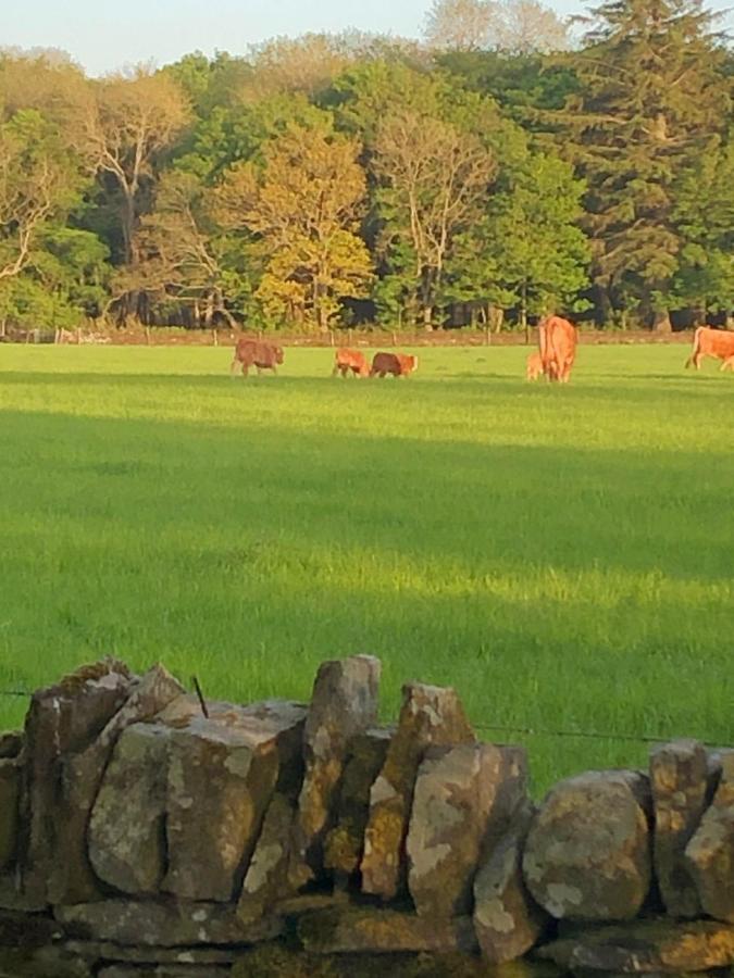 Caithness View Luxury Farm Lodges And Bbq Huts Wick  Exteriér fotografie